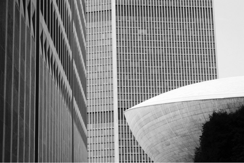 Black and white_0019